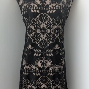 Max Studio Elegant Black and Cream Mini Dress